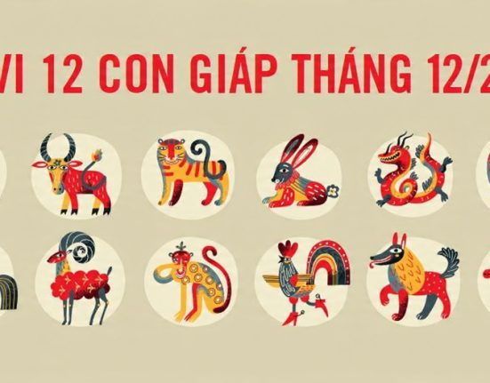 Tổng quan tử vi 12 con giáp tháng 12 năm 2025