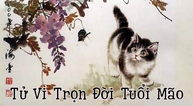 tu vi tron doi tuoi mao