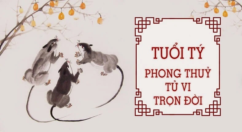 tu vi tron doi tuoi ty