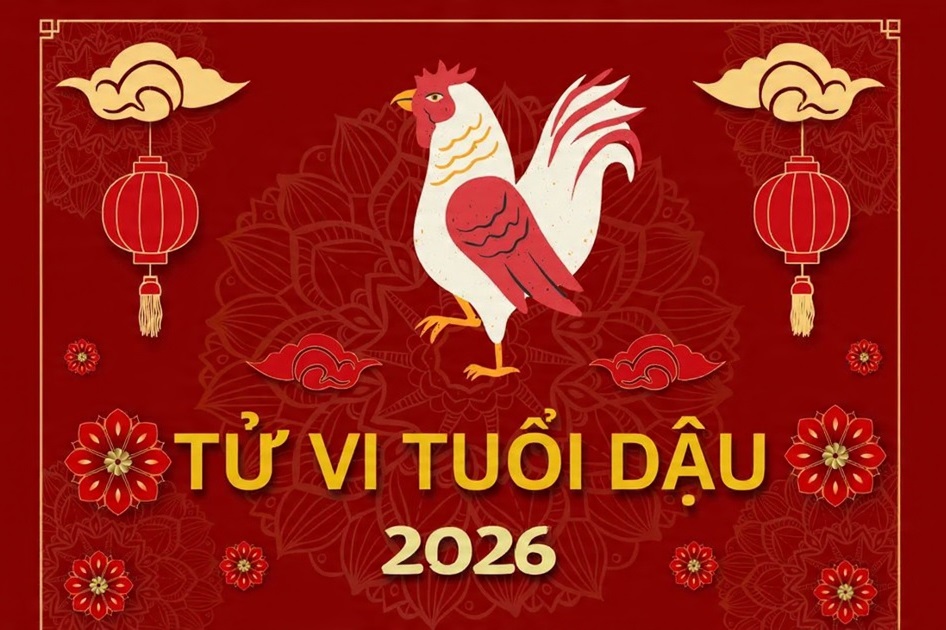 Tử vi 12 con giáp năm Bính Ngọ 2026: Sự nghiệp, tài lộc và tình cảm 27 tu vi tuoi dau 2026