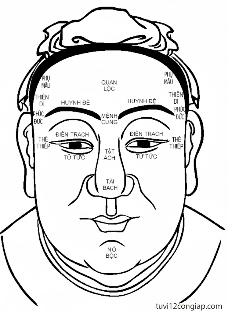 12 cung menh tren mat