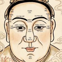 12 cung trên khuôn mặt