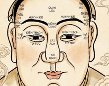 12 cung trên khuôn mặt