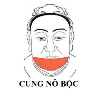 Cung No Boc
