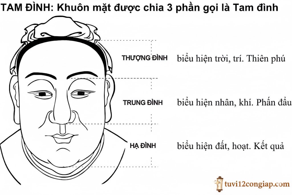 Tam dinh