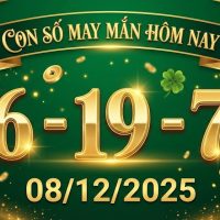 con so may man hom nay 08 12 2025