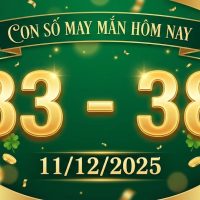 Con số may mắn hôm nay ngày 11/12/2025