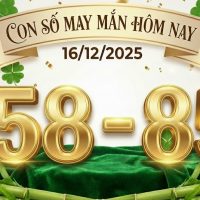 Con số may mắn hôm nay ngày 16/12/2025