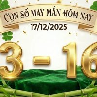 Con số may mắn hôm nay ngày 17/12/2025