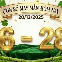 con so may man hom nay 20 12 2025