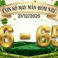 con so may man hom nay 21 12 2025