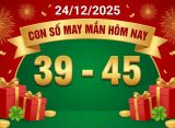 con so may man hom nay 24 12 2025