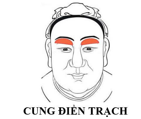 cung Dien Trach