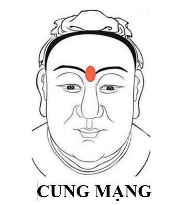 cung mang