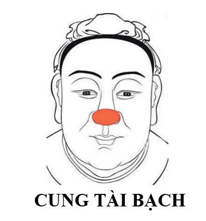 cung tai bach
