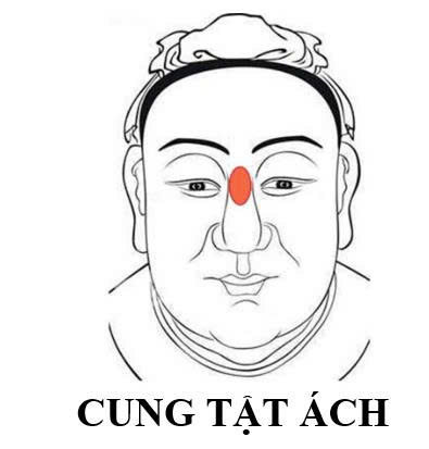 cung tat ach