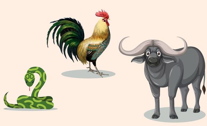 Tuổi Ti hợp với tuổi gì và xung khắc với tuổi nào? 3 tam hop tuoi ti