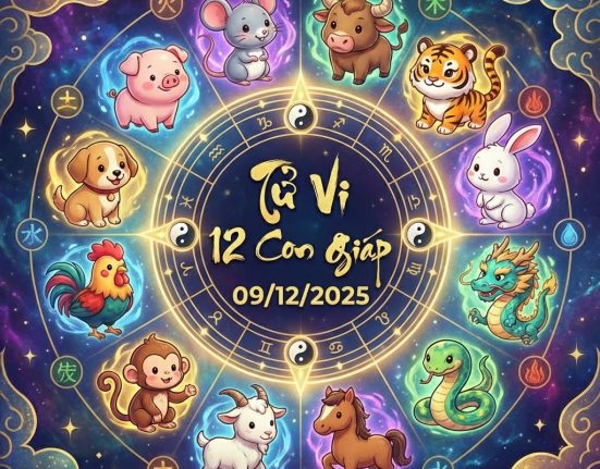 Tử vi 12 con giáp ngày 09/12/2025