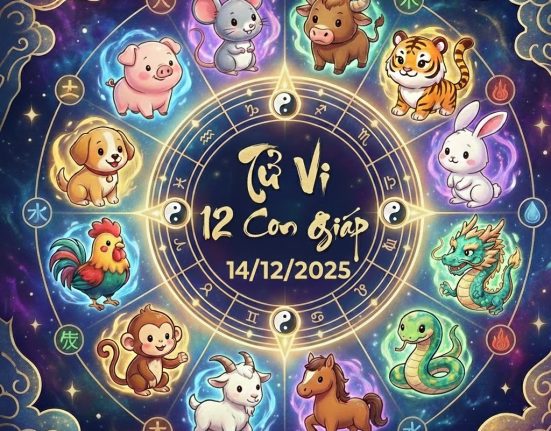 Tử vi 12 con giáp ngày 14/12/2025