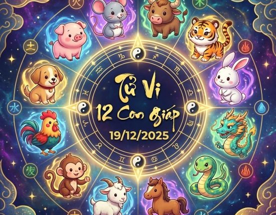 Tử vi 12 con giáp ngày 19/12/2025