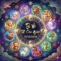 tu vi 12 con giap ngay 21 12 2025