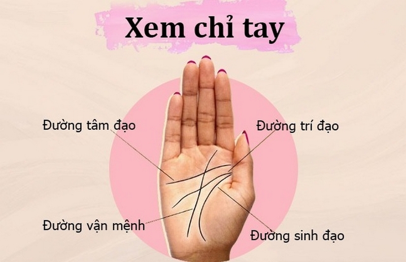 Xem bói chỉ tay 17 Các đường chỉ tay chính trên bàn tay