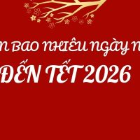 Còn bao nhiêu ngày nữa là đến Tết 2026?