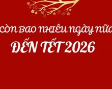 Còn bao nhiêu ngày nữa là đến Tết 2026?