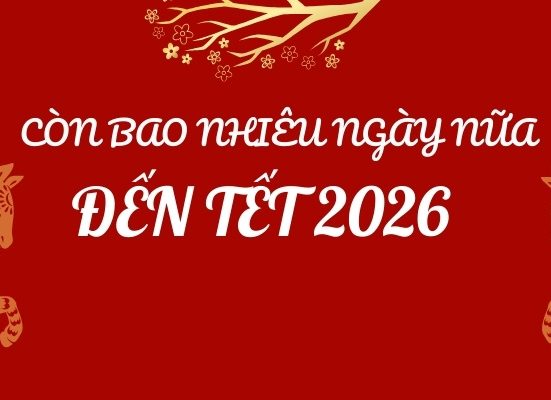 Còn bao nhiêu ngày nữa là đến Tết 2026?