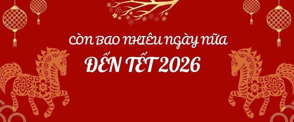 Còn bao nhiêu ngày nữa là đến Tết 2026?