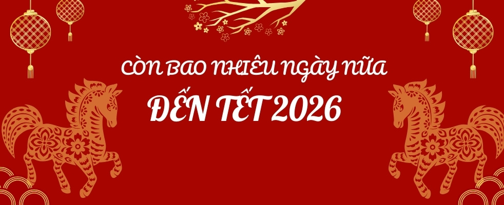 Còn bao nhiêu ngày nữa là đến Tết 2026?