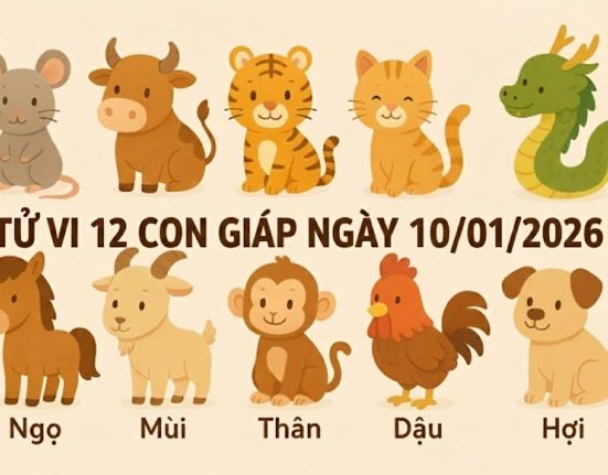 Tử vi 12 con giáp ngày 10/01/2026