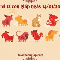 Tử vi 12 con giáp ngày 14/01/2026