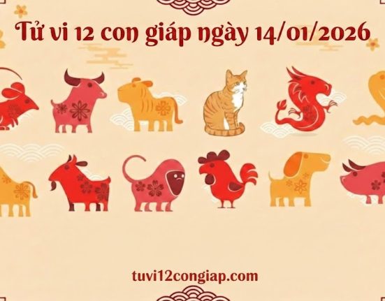 Tử vi 12 con giáp ngày 14/01/2026