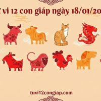 Tử vi 12 con giáp ngày 18/01/2026