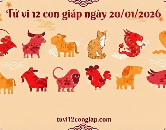 Tử vi 12 con giáp ngày 20/01/2026