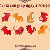 Tử vi 12 con giáp ngày 21/01/2026