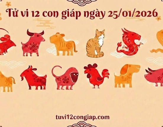 Tử vi 12 con giáp ngày 25/01/2026