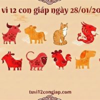 Tử vi 12 con giáp ngày 28/01/2026