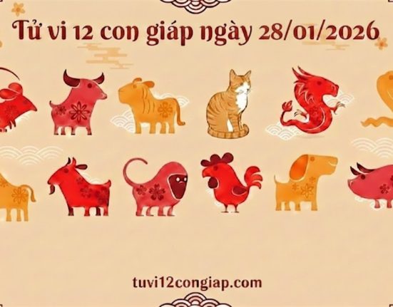 Tử vi 12 con giáp ngày 28/01/2026