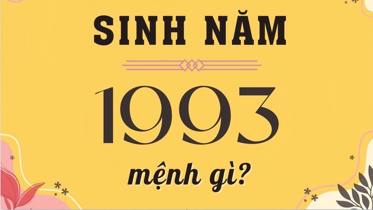 1993 menh gi