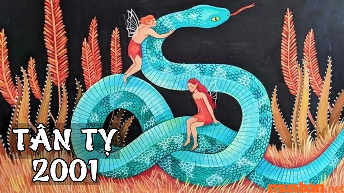 sinh nam 2001 menh gi 2