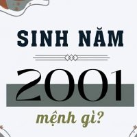 Sinh năm 2001 tuổi gì, mệnh gì? 50 Sinh năm 2001 tuổi gì, mệnh gì?
