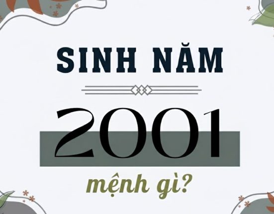 Sinh năm 2001 tuổi gì, mệnh gì?