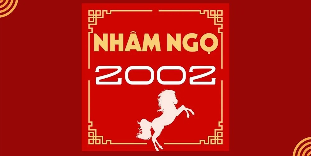 sinh nam 2002 menh gi 2