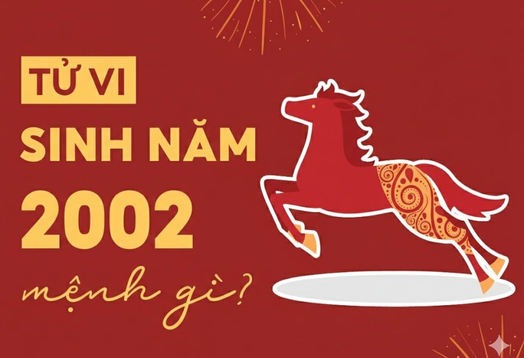 sinh nam 2002 menh gi 3