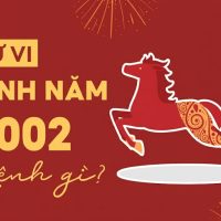 Sinh năm 2002 tuổi gì, mệnh gì? 49 sinh nam 2002 menh gi 3