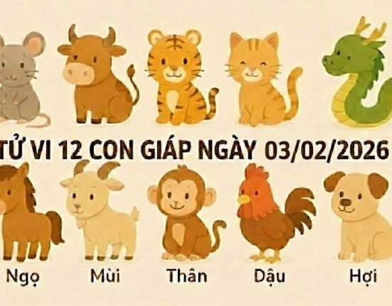 Tử vi 12 con giáp ngày 03/02/2026