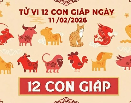 Tử vi 12 con giáp ngày 11/02/2026