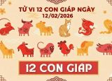 Tử vi 12 con giáp ngày 12/02/2026